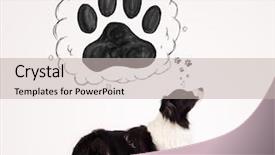  Presentation with border - Presentation theme with cute black and white border background and a soft green colored foreground