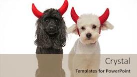  Presentation with dogs - PPT theme featuring cute black and white dogs wearing red devil horns for halloween collage image background and a coral colored foreground