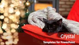  Presentation with fire red - Beautiful presentation design featuring cute black cat peacfully sleeping backdrop and a crimson colored foreground