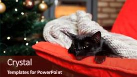  Presentation with fire red - Colorful PPT layouts enhanced with cute black cat peacfully sleeping on red chair christmas tree and fire burning in fireplace in the background - hygge concept backdrop and a tawny brown colored foreground