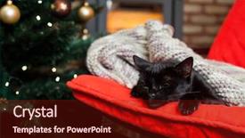  Presentation with fire red - Theme enhanced with cute black cat peacfully sleeping on red chair christmas tree and fire burning in fireplace in the background - hygge concept background and a tawny brown colored foreground