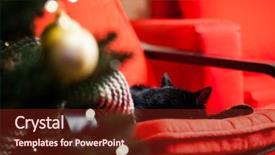  Presentation with fire red - Beautiful theme featuring cute black cat peacfully sleeping on red chair christmas tree and fire burning in fireplace in the background - hygge concept backdrop and a tawny brown colored foreground