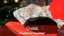  Presentation with fire red - Slides featuring cute black cat peacfully sleeping background and a crimson colored foreground