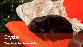  Presentation with fire red - PPT theme enhanced with cute black cat peacfully sleeping on red chair christmas tree and fire burning in fireplace in the background - hygge concept background and a crimson colored foreground