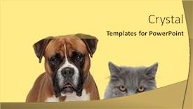  Presentation with boxer dog - Slides with cute-boxer-dog-looking background and a white colored foreground