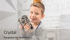  Presentation with guinea pig - Presentation design featuring cute boy with funny chinchilla background and a light gray colored foreground