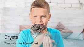  Presentation with cute - Audience pleasing theme consisting of cute boy with funny chinchilla backdrop and a  colored foreground