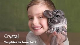  Presentation with anime cute japan cosplay - PPT theme enhanced with cute boy with funny chinchilla background and a tawny brown colored foreground