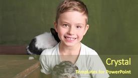  Presentation with rabbit - Theme having cute boy with funny chinchilla background and a  colored foreground