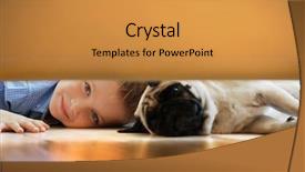  Presentation with floor - Audience pleasing PPT layouts consisting of cute boy with pug dog backdrop and a gold colored foreground