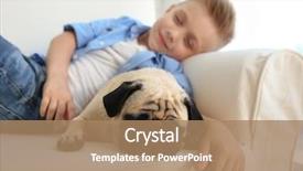  Presentation with dog - Audience pleasing slide deck consisting of cute boy with pug dog backdrop and a coral colored foreground