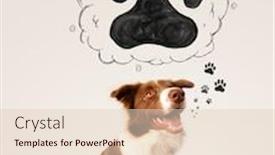  Presentation with paw - Amazing theme having cute brown and white border collie thinking about a paw in a thought bubble above his head backdrop and a lemonade colored foreground