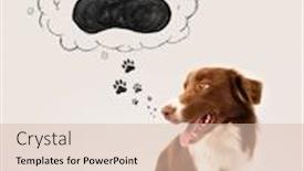  Presentation with paw - Beautiful PPT theme featuring cute brown and white border collie thinking about a paw in a thought bubble above his head backdrop and a lemonade colored foreground