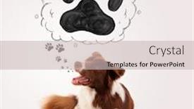  Presentation with border - Audience pleasing PPT theme consisting of spilling from white metal bucket backdrop and a violet colored foreground