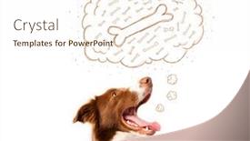  Presentation with thought - Slide deck with cute brown and white border collie sitting and dreaming about a bone in a thought bubble background and a cream colored foreground
