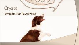 Presentation with thought - Audience pleasing slide deck consisting of cute brown and white border collie thinking about a bowl of food in a thought bubble above his head backdrop and a lemonade colored foreground
