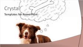  Presentation with thought - Audience pleasing presentation theme consisting of cute brown and white border collie lying and dreaming about a bone in a thought bubble backdrop and a white colored foreground