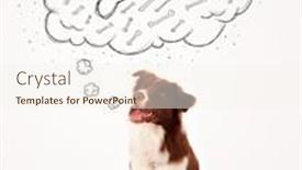  Presentation with bone - Audience pleasing PPT theme consisting of cute brown and white border collie sitting and dreaming about a bone in a thought bubble backdrop and a cream colored foreground