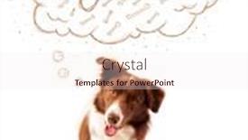  Presentation with thought - Colorful theme enhanced with cute brown and white border collie sitting and dreaming about a bone in a thought bubble backdrop and a sky blue colored foreground
