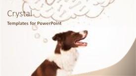  Presentation with thought - Presentation theme with cute brown and white border collie sitting and dreaming about a bone in a thought bubble background and a cream colored foreground