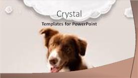  Presentation with border - Audience pleasing slide deck consisting of cute-brown-and-white-border and a white colored foreground