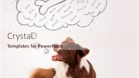  Presentation with thought - Cool new PPT layouts with cute brown and white border collie lying and dreaming about a bone in a thought bubble backdrop and a lemonade colored foreground