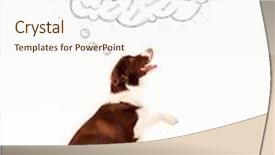  Presentation with thought - Presentation consisting of cute brown and white border background and a cream colored foreground