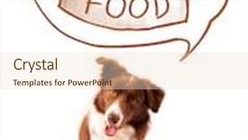  Presentation with thought - Presentation theme featuring cute brown and white border collie thinking about a bowl of food in a thought bubble above his head background and a lemonade colored foreground