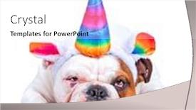  Presentation with unicorn - Amazing theme having cute-bulldog-with-a-unicorn backdrop and a white colored foreground