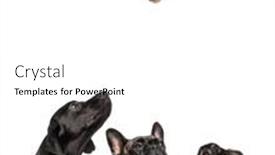  Presentation with dog cat - Presentation having cute-cat-and-dog-looking background and a white colored foreground