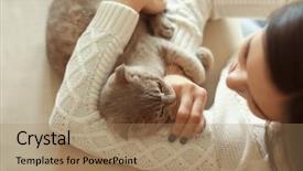  Presentation with cat - Presentation theme enhanced with cute cat at home background and a coral colored foreground