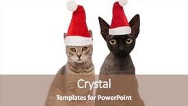  Presentation with cute cat and dog - Presentation design featuring cute cat couple wearing santa background and a coral colored foreground