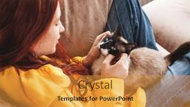  Presentation with winter scene - 