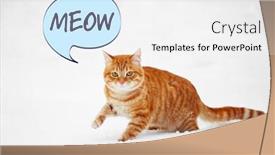  Presentation with snow cat - Audience pleasing presentation design consisting of cute-cat-on-snow-outdoor backdrop and a white colored foreground