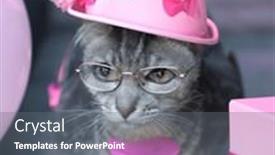  Presentation with cat party - Presentation having cute-cat-posh-pink-party background and a  colored foreground