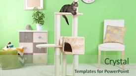  Presentation with tree - Amazing PPT theme having cute cat sitting on tree backdrop and a mint green colored foreground