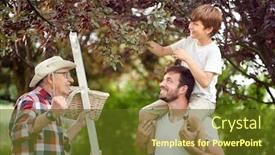  Presentation with grandfather - Colorful PPT theme enhanced with cute-caucasian-boy-picking-cherries backdrop and a tawny brown colored foreground