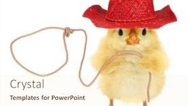  Presentation with cowboy - Slide deck with cute-chick-cowboy-with-lasso background and a cream colored foreground