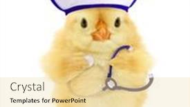  Presentation with chick - Beautiful slide deck featuring cute-chick-doctor-with-stethoscope backdrop and a blonde colored foreground