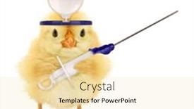  Presentation with chick - Amazing presentation design having cute-chick-doctor-with-vaccine backdrop and a lemonade colored foreground