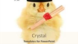  Presentation with bachelor - Beautiful slide deck featuring cute-chick-graduate-bachelor backdrop and a blonde colored foreground