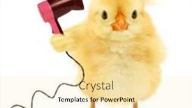  Presentation with chick - PPT theme with cute-chick-is-drying-hair background and a blonde colored foreground