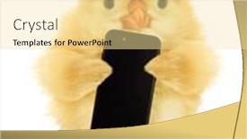  Presentation with chick - Presentation theme featuring cute-chick-is-holding-cell background and a blonde colored foreground