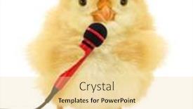  Presentation with chick - Colorful presentation enhanced with cute-chick-is-holding-microphone backdrop and a blonde colored foreground