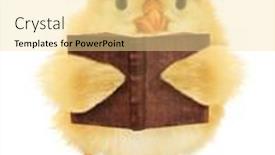  Presentation with chick - Cool new theme with cute-chick-is-reading-book backdrop and a blonde colored foreground