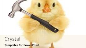  Presentation with chick - Slide set featuring cute-chick-with-hammer-funny background and a blonde colored foreground