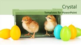  Presentation with white candles - Audience pleasing slide deck consisting of cute chickens and easter candle backdrop and a  colored foreground