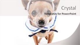  Presentation with military navy - Cool new PPT theme with up in a military navy backdrop and a light gray colored foreground