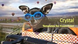  Presentation with hot air balloons - Beautiful PPT layouts featuring cute chihuahua in a bike backdrop and a tawny brown colored foreground