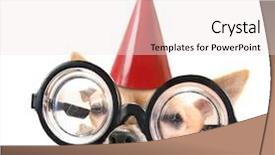  Presentation with cute birthday - Amazing presentation having giant glasses and a birthday backdrop and a sky blue colored foreground